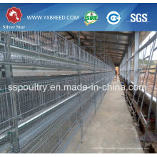 Cage de poulet pour les poulets de couche